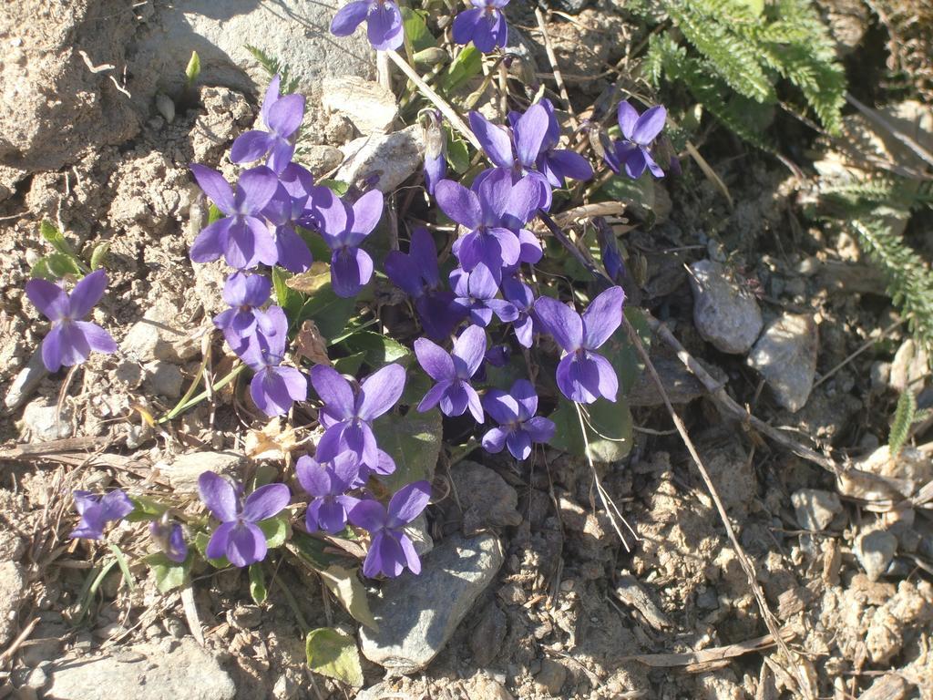 Ausserangistlhof Campo Tures Buitenkant foto
